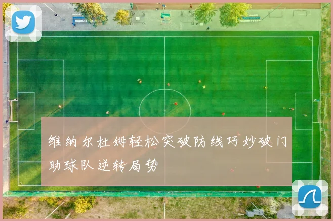 维纳尔杜姆轻松突破防线巧妙破门助球队逆转局势