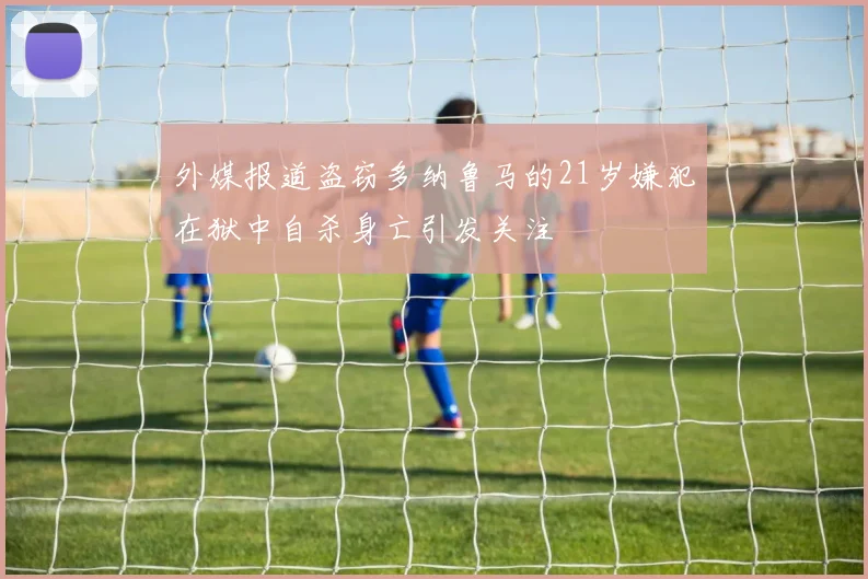 外媒报道盗窃多纳鲁马的21岁嫌犯在狱中自杀身亡引发关注