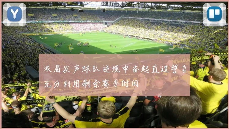 浓眉发声球队逆境中奋起直追誓言充分利用剩余赛季时间