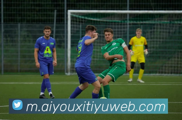 多媒体互动体验